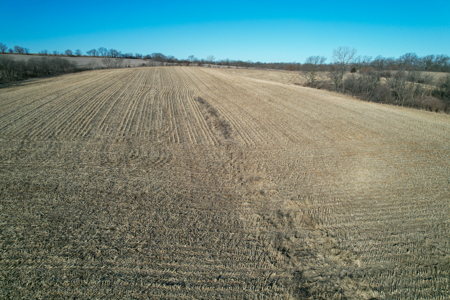 High Tillable Row Crop Investment Near the Mahaska County Line - image 5