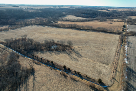 High Tillable Row Crop Investment Near the Mahaska County Line - image 2