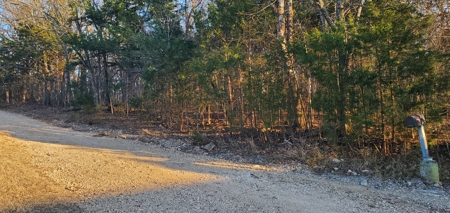 Beautiful View!!!  Bull Shoals Lake - image 5