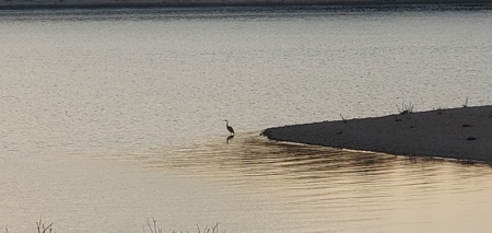Beautiful View!!!  Bull Shoals Lake - image 20