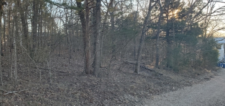 Beautiful View!!!  Bull Shoals Lake - image 11