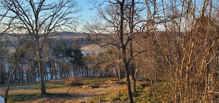 Beautiful View!!!  Bull Shoals Lake - image 3