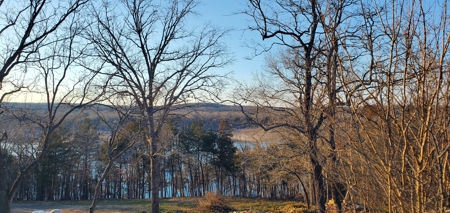 Beautiful View!!!  Bull Shoals Lake - image 2
