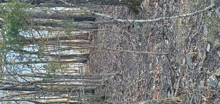 Beautiful View!!!  Bull Shoals Lake - image 9