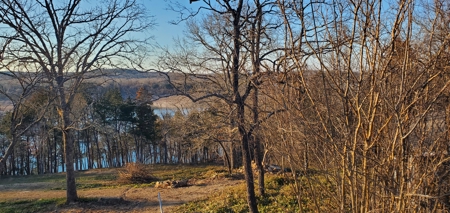 Beautiful View!!!  Bull Shoals Lake - image 4