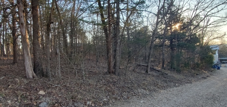 Beautiful View!!!  Bull Shoals Lake - image 12