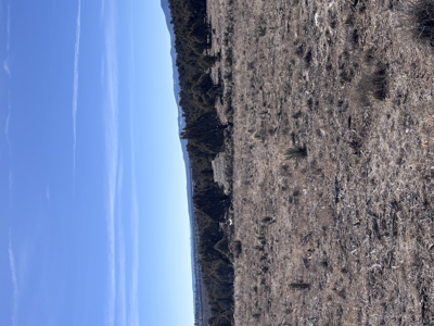 Rancho Del Vado Subdivisio -Northern NM Properties for Sale - image 4