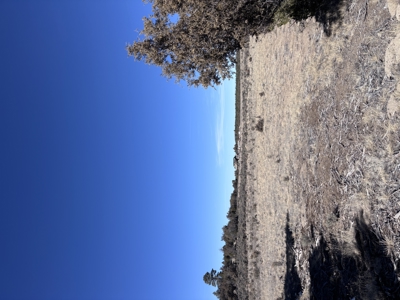 Rancho Del Vado Subdivisio -Northern NM Properties for Sale - image 1