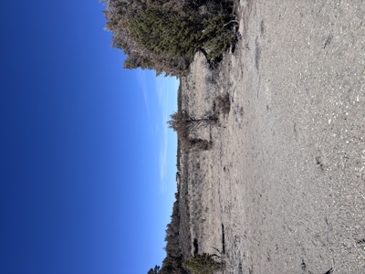 Rancho Del Vado Subdivisio -Northern NM Properties for Sale - image 7