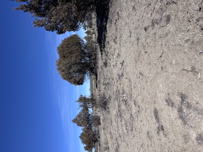 Rancho Del Vado Subdivisio -Northern NM Properties for Sale - image 6
