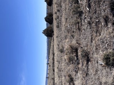 Rancho Del Vado Subdivisio -Northern NM Properties for Sale - image 5