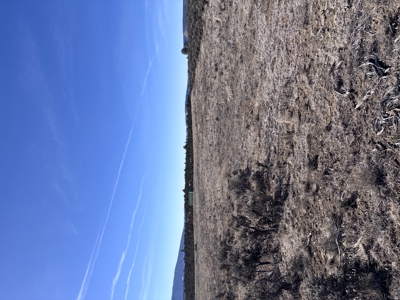 Rancho Del Vado Subdivisio -Northern NM Properties for Sale - image 3