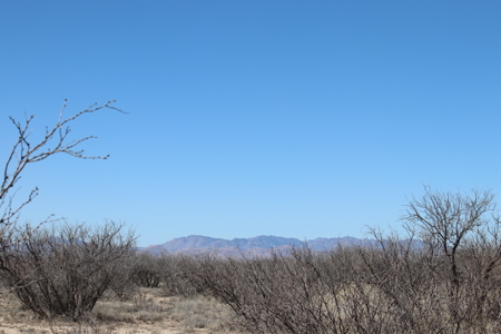 Beautiful Property Over 40 acres!! Mountain Views! - image 7