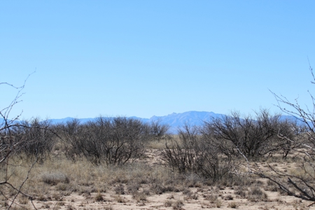 Beautiful Property Over 40 acres!! Mountain Views! - image 2