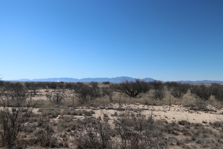 Beautiful Property Over 40 acres!! Mountain Views! - image 3