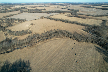 Productive Row Crop & Mixed-Use Investment - image 3