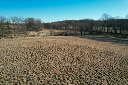 Productive Row Crop & Mixed-Use Investment - image 23