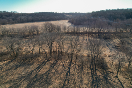 Productive Row Crop & Mixed-Use Investment - image 20