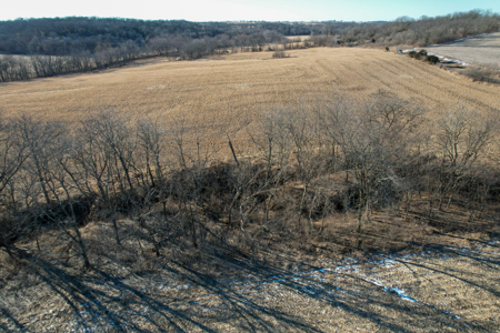 Productive Row Crop & Mixed-Use Investment - image 40