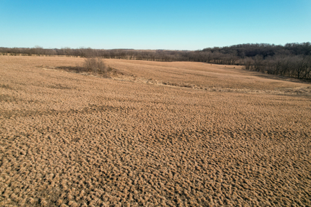 Productive Row Crop & Mixed-Use Investment - image 17