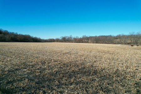 Productive Row Crop & Mixed-Use Investment - image 32