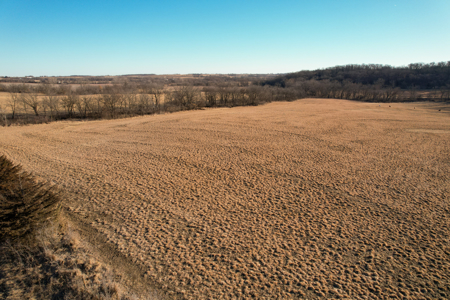 Productive Row Crop & Mixed-Use Investment - image 15