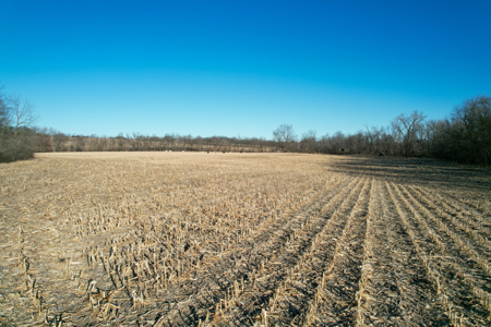 Productive Row Crop & Mixed-Use Investment - image 29