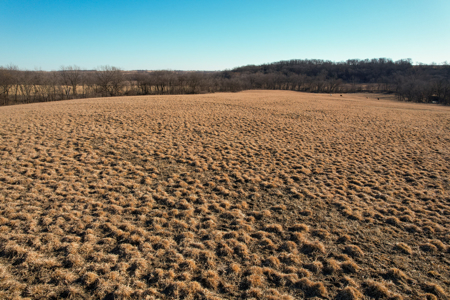 Productive Row Crop & Mixed-Use Investment - image 14