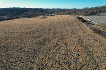 Productive Row Crop & Mixed-Use Investment - image 42