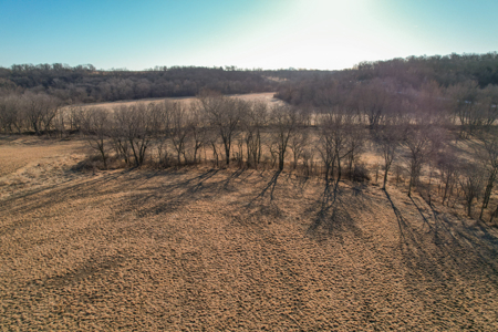 Productive Row Crop & Mixed-Use Investment - image 19