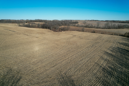 Productive Row Crop & Mixed-Use Investment - image 39