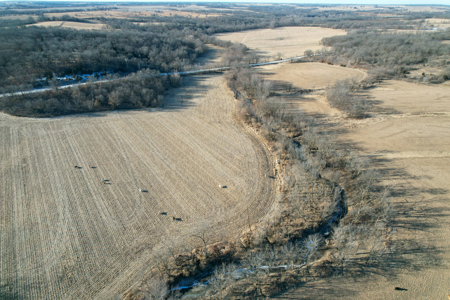 Productive Row Crop & Mixed-Use Investment - image 5