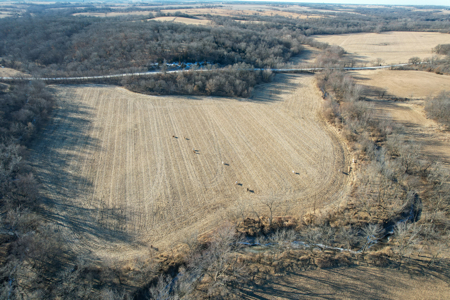 Productive Row Crop & Mixed-Use Investment - image 6