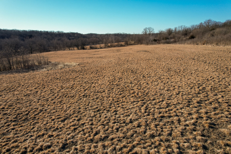 Productive Row Crop & Mixed-Use Investment - image 16