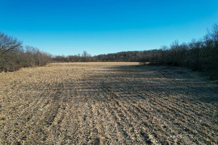 Productive Row Crop & Mixed-Use Investment - image 26