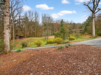Modern 2025 Build with Privacy and No HOA in Ellijay, GA - image 30