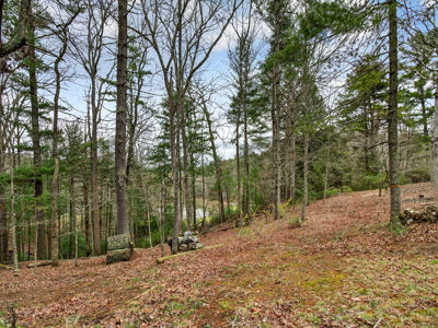 Modern 2025 Build with Privacy and No HOA in Ellijay, GA - image 32