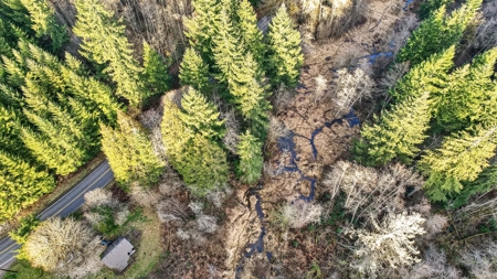 11+ Private Acres with Creek, Shop & Timber - image 31