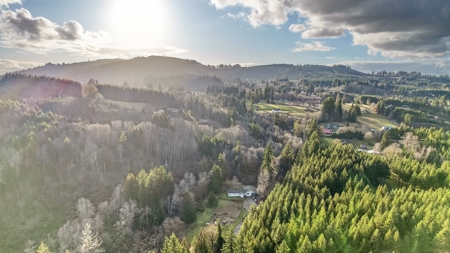 11+ Private Acres with Creek, Shop & Timber - image 40