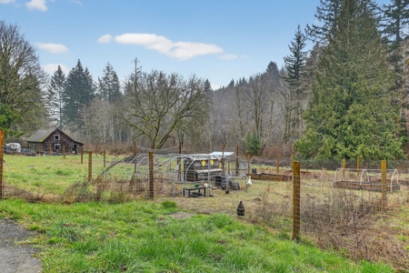 11+ Private Acres with Creek, Shop & Timber - image 37