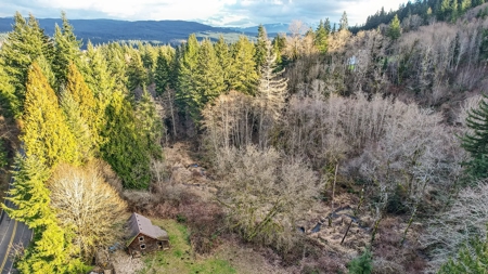 11+ Private Acres with Creek, Shop & Timber - image 34