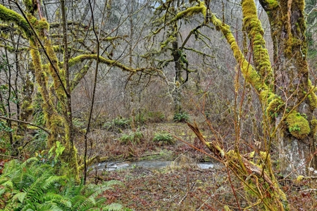 11+ Private Acres with Creek, Shop & Timber - image 33