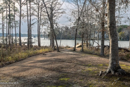 Waterfront Home For Sale In Albemarle Plantation - image 32