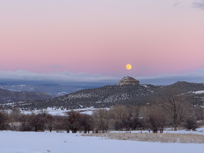 Colorado Country Home with Irrigated Acreage - image 38