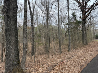 Winnsboro, TX -  Wood County - East Texas Wooded Land for Sale - image 14