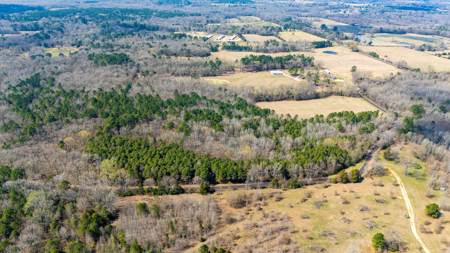 Winnsboro, TX -  Wood County - East Texas Wooded Land for Sale - image 12