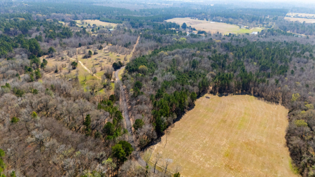 Winnsboro, TX -  Wood County - East Texas Wooded Land for Sale - image 2