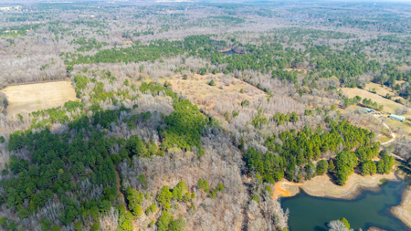 Winnsboro, TX -  Wood County - East Texas Wooded Land for Sale - image 9