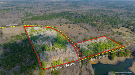 Winnsboro, TX -  Wood County - East Texas Wooded Land for Sale - image 8