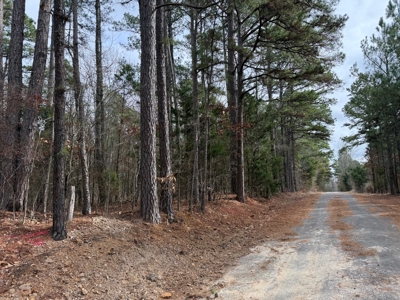 Winnsboro, TX -  Wood County - East Texas Wooded Land for Sale - image 17